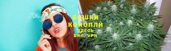 mdpv Каменногорск