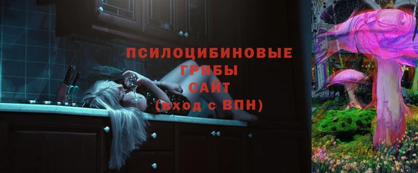 крисы Каменск-Шахтинский