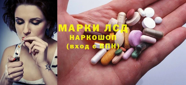 mdpv Каменногорск