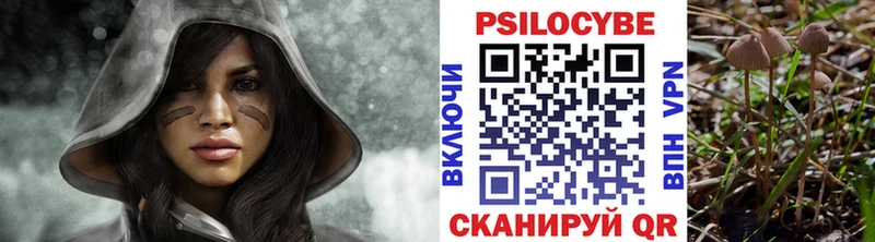 дарнет шоп  Кингисепп  Галлюциногенные грибы ЛСД 