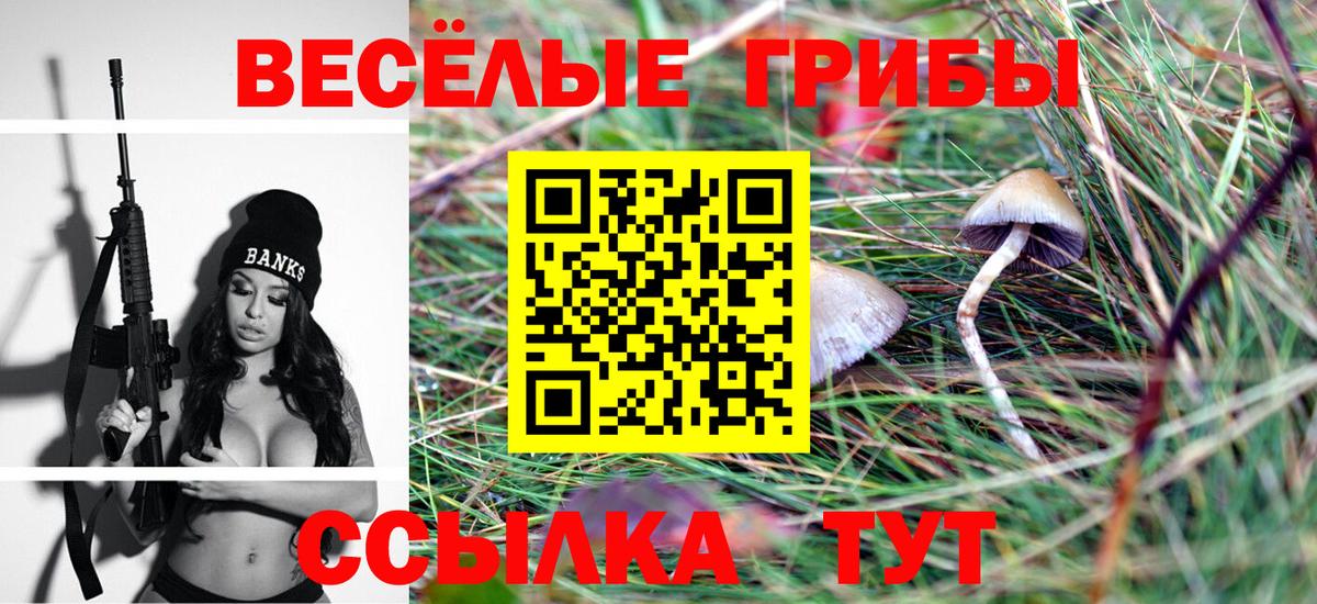 Псилоцибиновые грибы мицелий Кингисепп