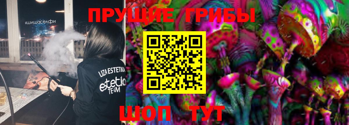 Кингисепп  Псилоцибиновые грибы Psilocybine cubensis  Вход с VPN 